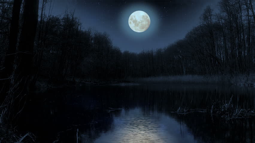 Moon Over The Lake At Night. Video Footage Of Bright Moon Over A Lake ...