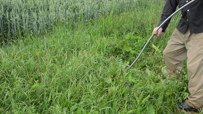 Retro Old Fashioned Scythe Tool Used By Farmer Gardener Man For Lawn ...