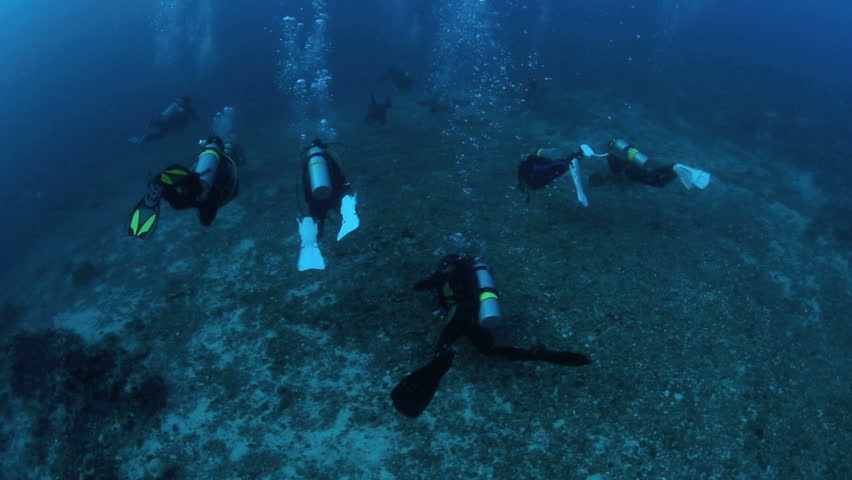 Scuba Divers Swimming Along Ocean Floor On The Lookout For Thresher ...