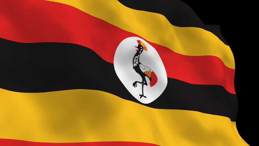 Uganda flag footage #page 3| Stock clips & videos