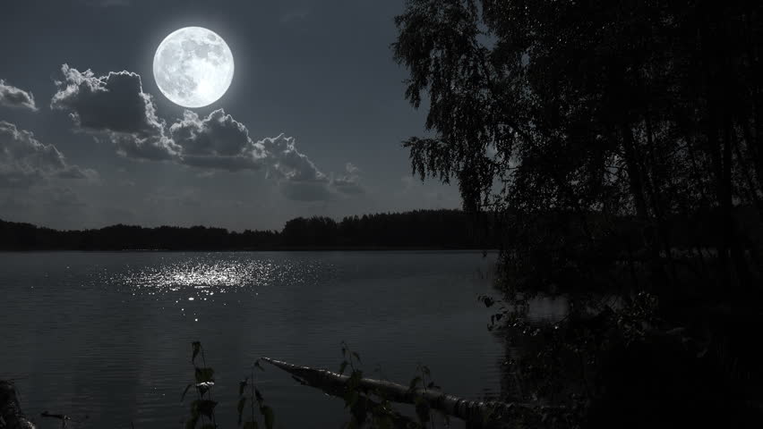 Full Moon Night Landscape With Forest Lake. Stock Footage Video 7570180 ...