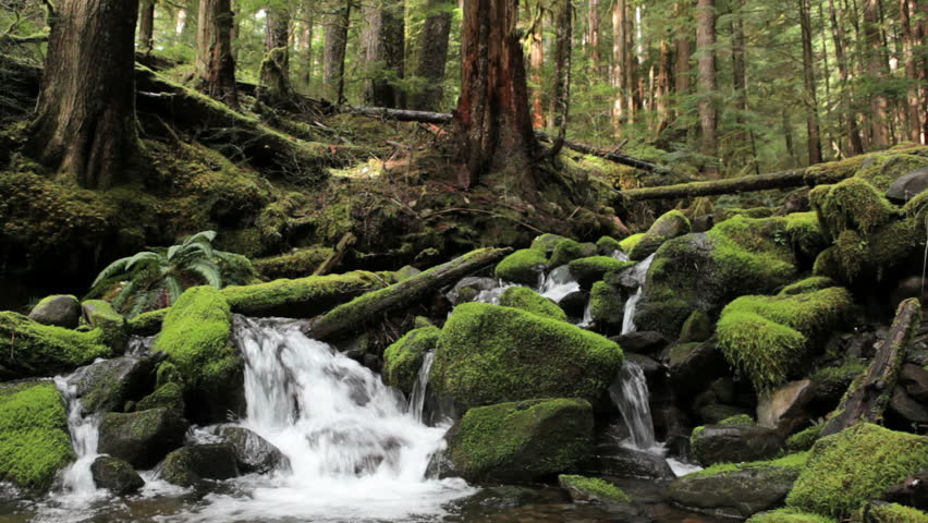 Pacific Northwest Stock Footage Video - Shutterstock