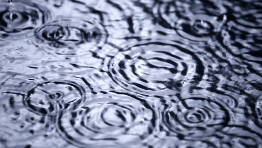 Rain Falling Into A Puddle Stock Footage Video 749389 - Shutterstock