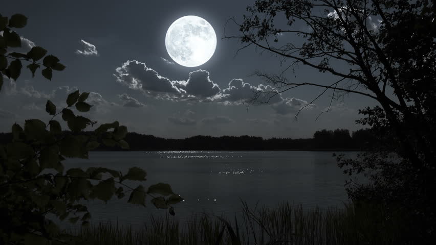 Nature Full Moon Night Landscape With Forest Lake. Stock Footage Video ...