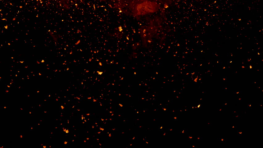 Particles In A Gas Are Best Described As