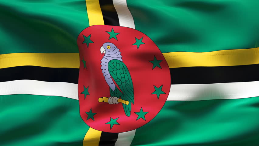 Dominica - Detail Of Waving Flag Stock Footage Video 773707 - Shutterstock