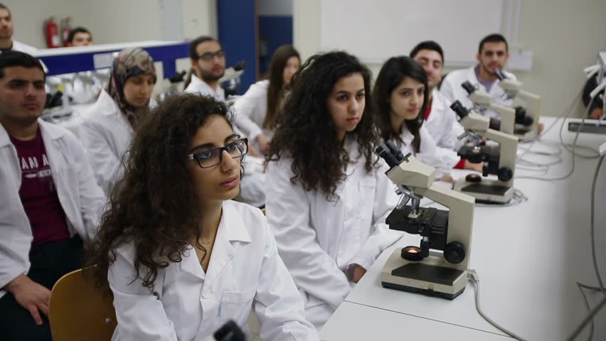 HADETH, LEBANON - 2014: Medicine Students Inside Lab, Lebanese ...