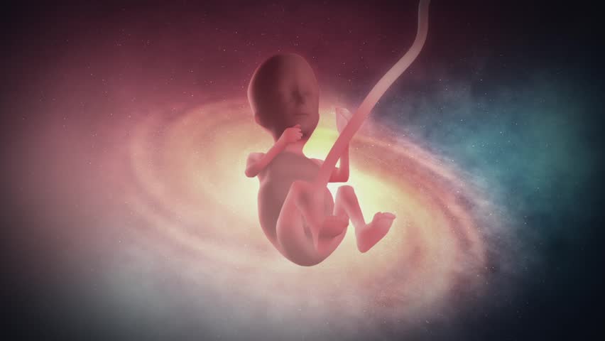 Camera In Womb _ All About Michelle Buteau’s Twins Hazel and Otis – BDQQZJ