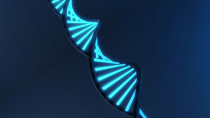 Motion Background With Molecule Dna Stock Footage Video 3647975 Motion Background With Molecule Dna Stock Footage Video 3647975