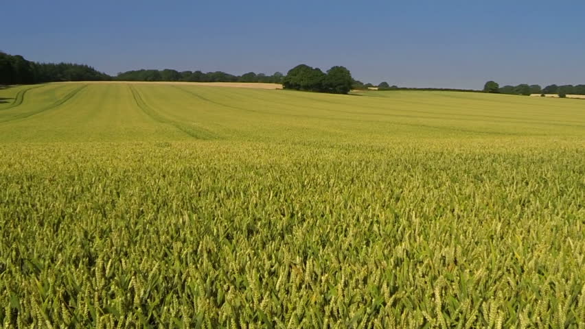 Aerial View Of UK Countryside And Farmland In Summer. High Above Green ...